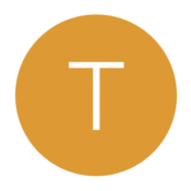 icon_t icon_t
